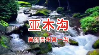 【志愿服务先进典型展播】最美志愿服务社区：雁江区资溪街道桂花井社区