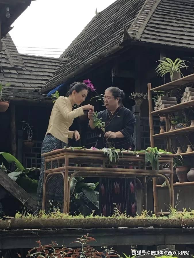 信阳市浉河区司法局:法律相伴 “典”亮生活