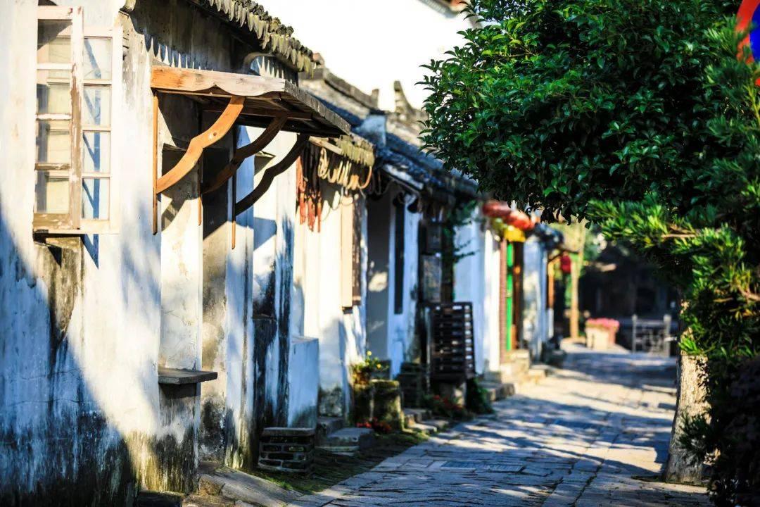 懒惰男孩拯救